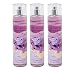 Bath & Body Works Sea Salt & Lavender 3 Pack Fine Fragrance Mist Set - Full Size