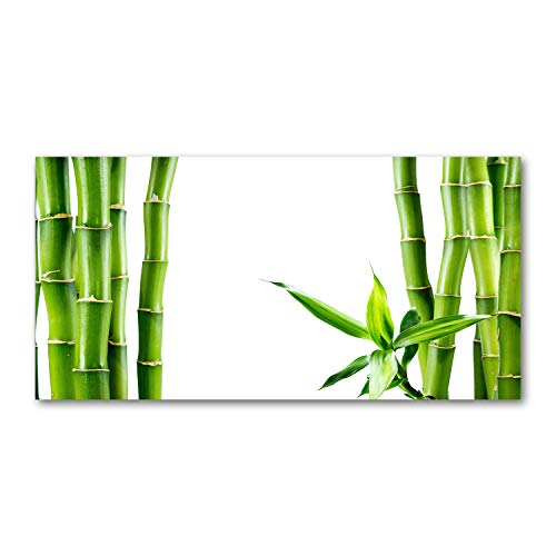 Fond de hotte en verre vert Tulup pour une cuisine lumineuse style nature