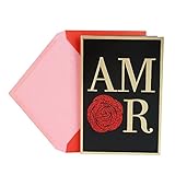Hallmark Vida Spanish Valentine's Day Card for Significant Other (Amor)