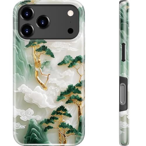 Coque iPhone 17 Pro DEENAKIN protection double couche antichoc compatible recharge sans fil