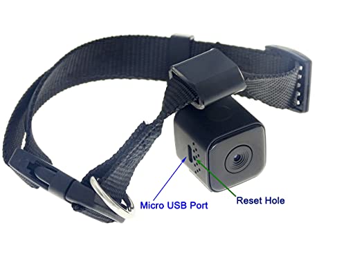 hosecurity Coleira digital para animais de estimação HD 1080p câmera DVR gravador de vídeo monitor p