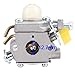 Hipa 308054043 CS26 SS26 Carburetor for Ryobi Homelite SS30 CS30 EX26 BC30 26cc TP30 SX135 25cc RY09050 TP26 30cc Trimmer Leaf Blower Replace 308054013 309368003 308054077 308054003 C1U-H60