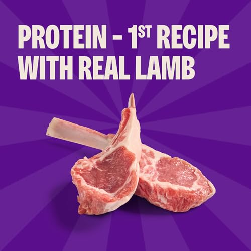Wellness Rewarding Life Dog Treats, Training Treat, Grain Free, Soft Lamb & Salmon (6 Ounce Bag) - Image 4