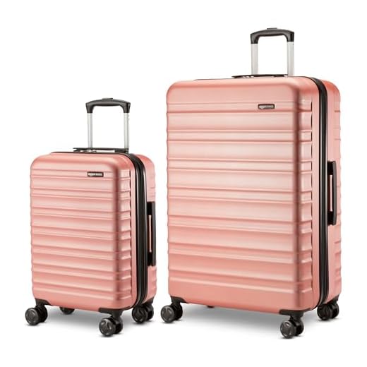 What is luggage for delta airlines basic ecomony Amazon Basics Expandable Hardshell Suitcase Set