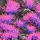 Gamers Grass - Tufts Alien Neon (4mm) Shape: Wild