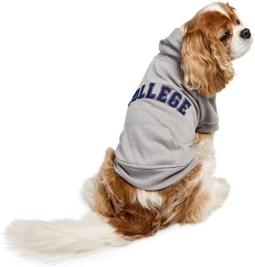Reddy by Petco College Pet Hoodie Grey Small