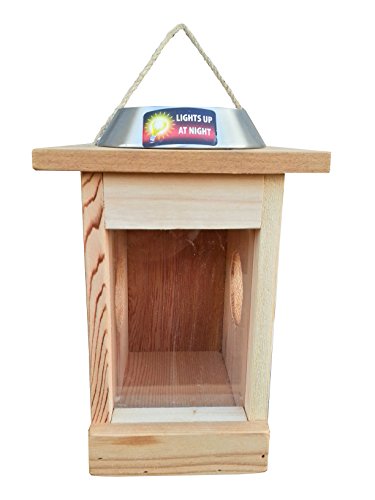 Wildlife World Illuminated Mini Beast Centre