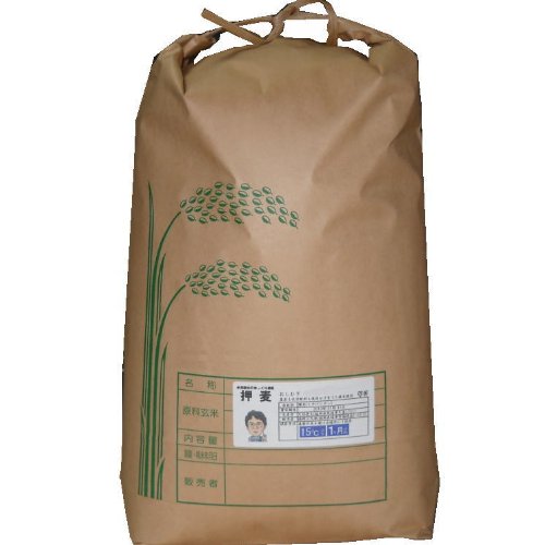 20Kg Ygp
