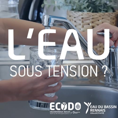 『L'eau sous tension』のカバーアート