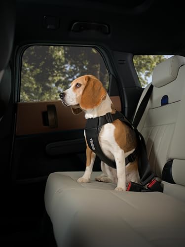 Thule Cappy Dog Harness M