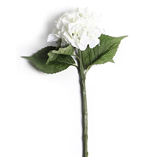 Image of PURE HOME + LIVING Ivory Hydrangea Spray,Off White (Made of Plastic, Wire and Fabric) for Home, Office and Living Room Decorations (Without Vase)(Height-48 CM) Pack of 1