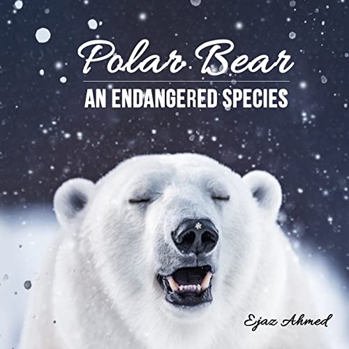 Polar Bear: An Endangered Species