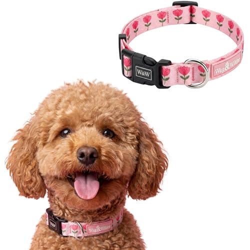 Image of Wag and Wilder Heavy Duty Adjustable Dog Collar for Small Dogs - Quick Release Buckle & Metal D-Ring (Jaipur Bloom Pink)