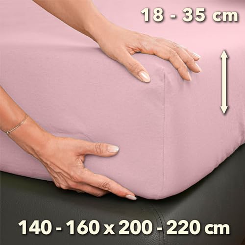 STUDIO Premium Lenzuolo con angoli 140-160 x