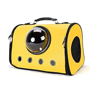 Musite Cat Box Mat Verpakking, Bescherm Kitten Meisje Draagbare Hondentas Ambachtelijke Puppy Kooi Doos