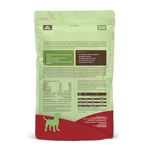 Image of NATURE'S LOGIC Grain-Free Dry Dog Food - Beef Meal Feast, 4.4 lb