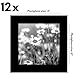 Americanflat 4x4 Picture Frame with Polished Plexiglass - Set of 12 - Signature Collection - Picture Frames with Engineered Wood - Square Frame for Tabletop and Wall Display - Black