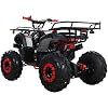 Tao Tao Ata-110d-black
