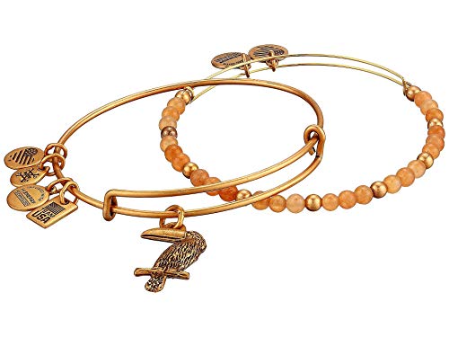 Alex and Ani Women's Toucan Bracelet Set Gold One Size