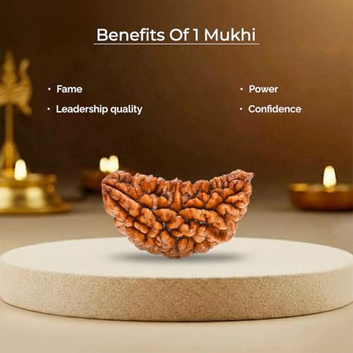 Image of Original 1 Mukhi Original Rudraksha Bead Nepali Origin Lab Certified Symbol of Lord Ganesha Removes Obstacles and Brings Wisdom Meditation, Pooja, Healing for Men & Women