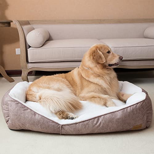 Best Bed For Golden Retriever On The Market Today Spicer Castle