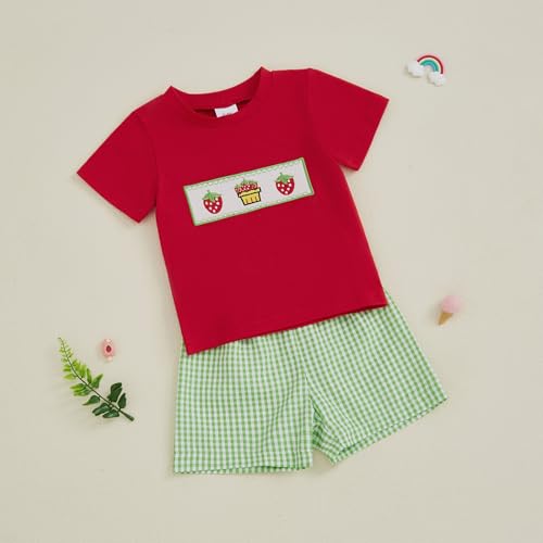 Image of Bonangber Toddler Baby Boy Summer Clothes Fruits Embroidery Short Sleeve T Shirt Plaid Shorts Sets Cute Boys Summer Outfits