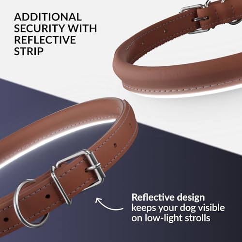 Tangle-Free Reflective Leather Dog Collar