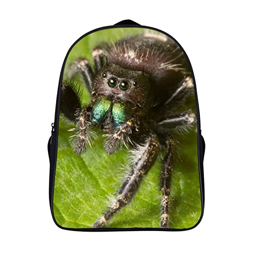 Sac à dos original motif araignée 3D - Cadeau idéal pour la rentrée scolaire ado