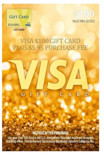 Visa $100 Gift Card plus $5.95 Purchase Fee