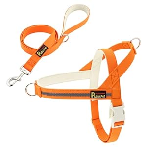 Plutus Pet Cotton Dog Harness and Lead Set, Reflective and Soft Padded, Quick Fit Vest Harness, for Small, Medium and Large Dogs, Orange, S
