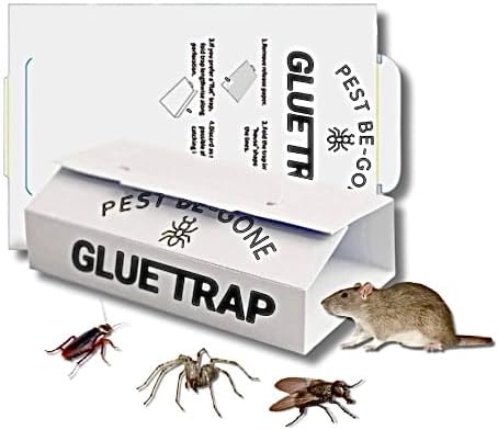 Pest Be-Gone | 10 Sticky Pest Traps Boards | Multi Use Extra Strength Pads | Sticky Traps Catch Pests Quickly | Effective Solution to Your Pest Problems | Indoor Outdoor Use