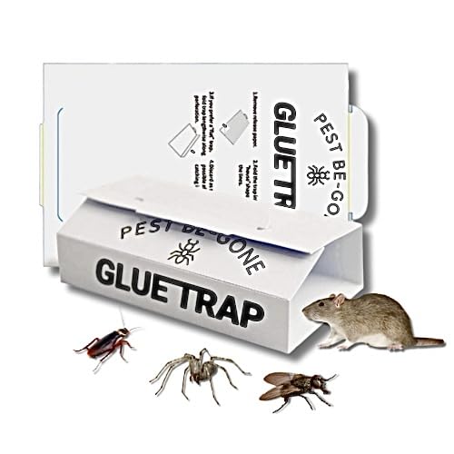 Pest Be-Gone | 10 Sticky Pest Traps Boards | Multi Use Extra Strength Pads | Sticky Traps Catch Pests Quickly | Effective Solution to Your Pest Problems | Indoor Outdoor Use
