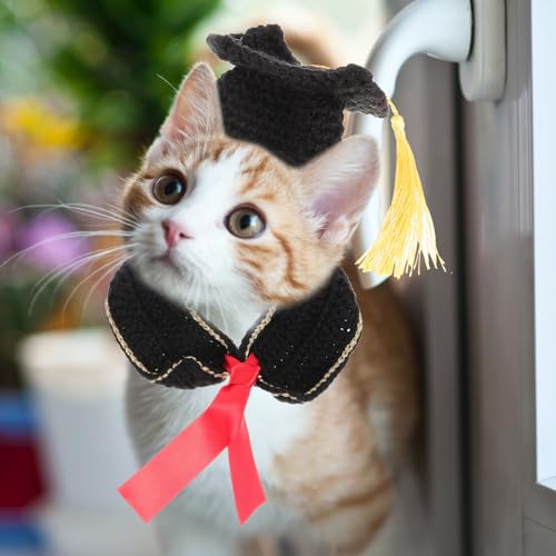 Disfraz de Graduación para Perros Pequeños Talla M miniatura 4