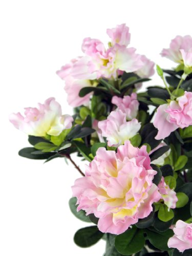 Closer to Nature Artificiale 37 Centimetri Rosa