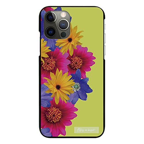 arrows We2 Plus M06 p P[X ubN Jo[ X}zP[X X}zJo[ ^ sc804(E) ԕ t[ ԑ K[[  Ԗ͗l  gуP[X gуJo[ n[h v