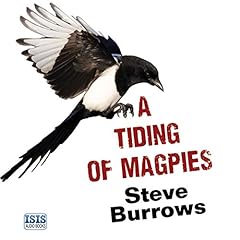 A Tiding of Magpies Audiolibro Por Steve Burrows arte de portada