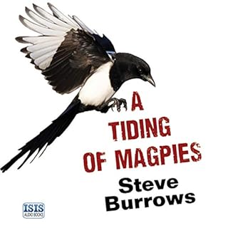 A Tiding of Magpies Audiolibro Por Steve Burrows arte de portada