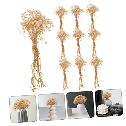 Ramo seco de flores Gypsophila natural para decoración miniatura 3