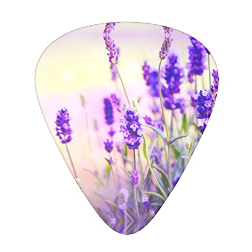 Ensemble de 12 médiators de guitare fleur de lavande pour guitare acoustique, guitare électrique, contrebasse, ukulélé - Les Beatles, Paul McCartney, John Lennon, RIngo Starr, George Harrison Ensemble de 12 médiators de guitare fleur de lavande pour guitare acoustique, guitare électrique, contrebasse, ukulélé