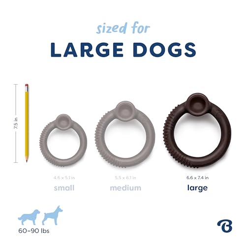 Image of Benebone Ring Dog Chew Toy for Aggressive Chewers, Blueberry, Large | Durable, Super Chewer, Dog Bones, Long-Lasting, A Size for Every Dog, Keeps Them Busy