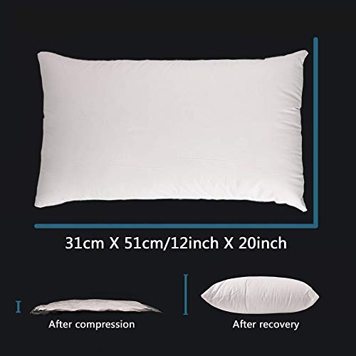 EDOW Throw Pillow Insert, Set of 2 Down Alternative Polyester Decorative Pillow, Cushion,Sham Stuffer. (White, 12x20)