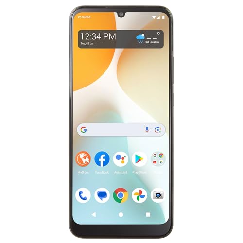 Simple Mobile | Blu View 5 Pro | Locked | 128GB | 4900mAh Battery | Triple Camera | Gray