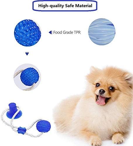 Matoolz Dog