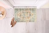 Monolia Machine Washable Area Rugs Perfect for Living Room , Kitchen , Bedroom , Entryway , Persian