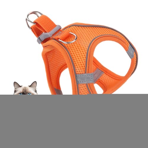 Cat Harness Eh~ - \tgbVxXg ːSXgCvt - ^ ^ ^ ybg xXgJ[ oR Lv AEghAp