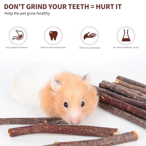 RFYTDCF 250g Hamster Kauspielzeug, Kaninchen Kauspielzeug Apfel Holz Nager Bunny Kaustock Apfelstäbchen Hamster Zubehör Backenzahn und Zähneknirschspielzeug für Kleine Haustiere