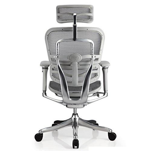 Ergohuman Executive Chairs (Gray)