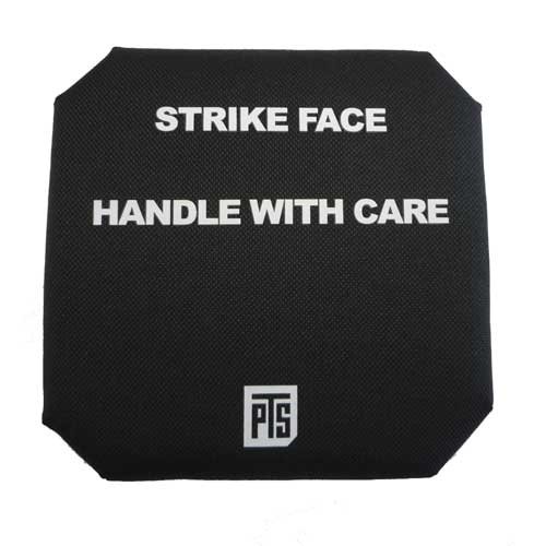 リアルウェイトダミープレート、サイドプレートセット Amazon.co.jp: 在庫販売 チームウェンディ Team Wendy リアル