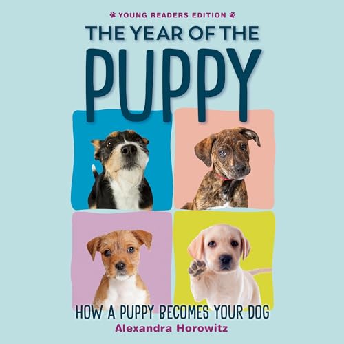 Explore Your Favorite Audiobook Titles on Any Device