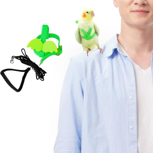 Image of Adjustable Bird Leashes and Harnesses, Bird Nylon Harness with Cute Wing for Parrots, Pet Bird Accessories, Bird Leash for Hang Out, Suitable for Cockatiel, Quaker, Amazon Parrot and Same Size Birds
